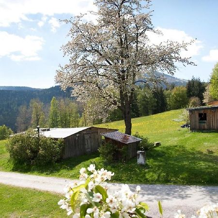 Гостевой дом Landhof Steinhuette Байериш-Айзенштайн Экстерьер фото