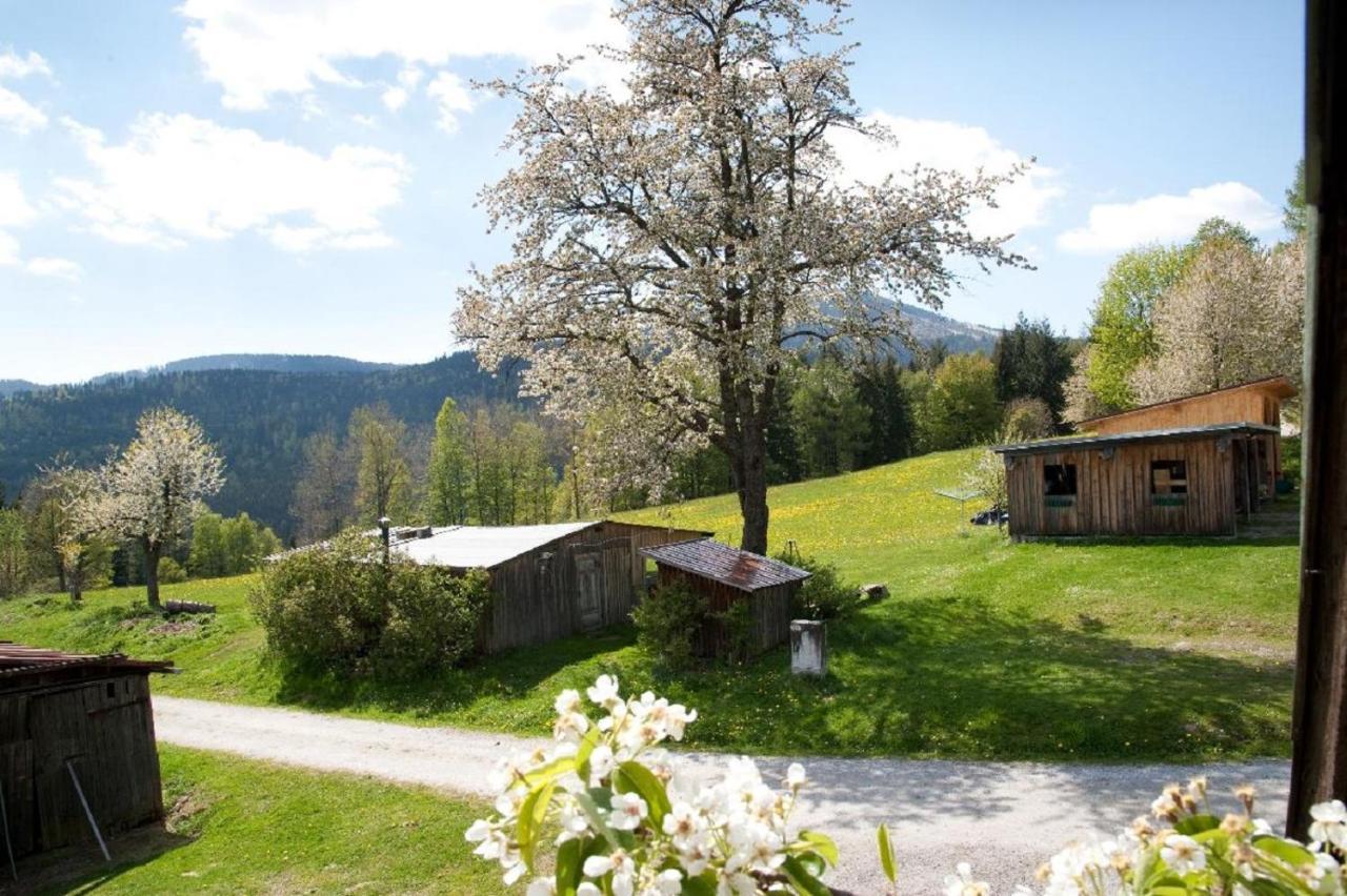 Гостевой дом Landhof Steinhuette Байериш-Айзенштайн Экстерьер фото